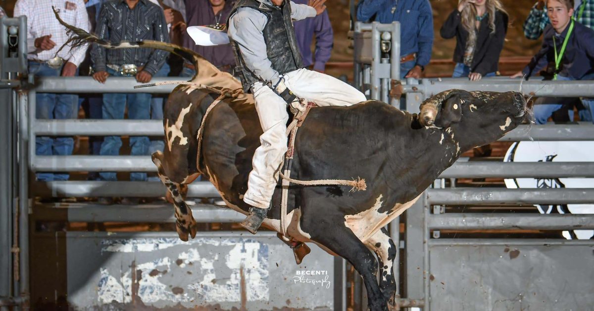 Gallup Lions Club Rodeo 2024 Visit Gallup